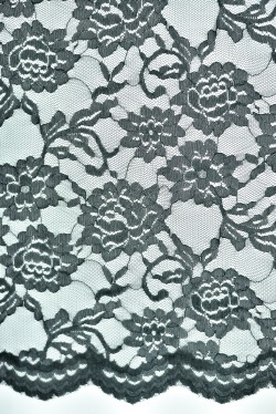 PLAIN JAPANESES LACE